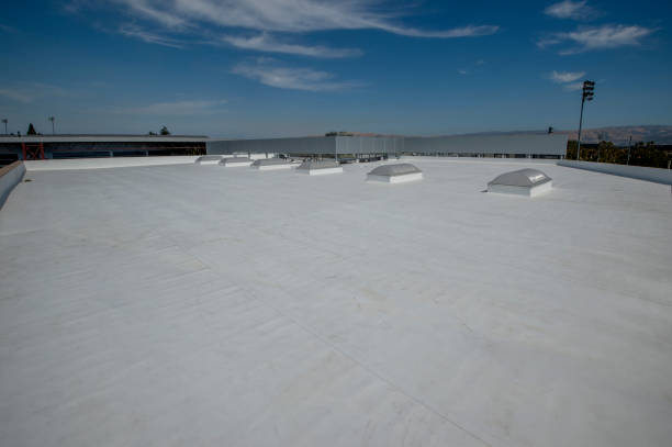 Best Roof Replacement  in Benjamin, UT